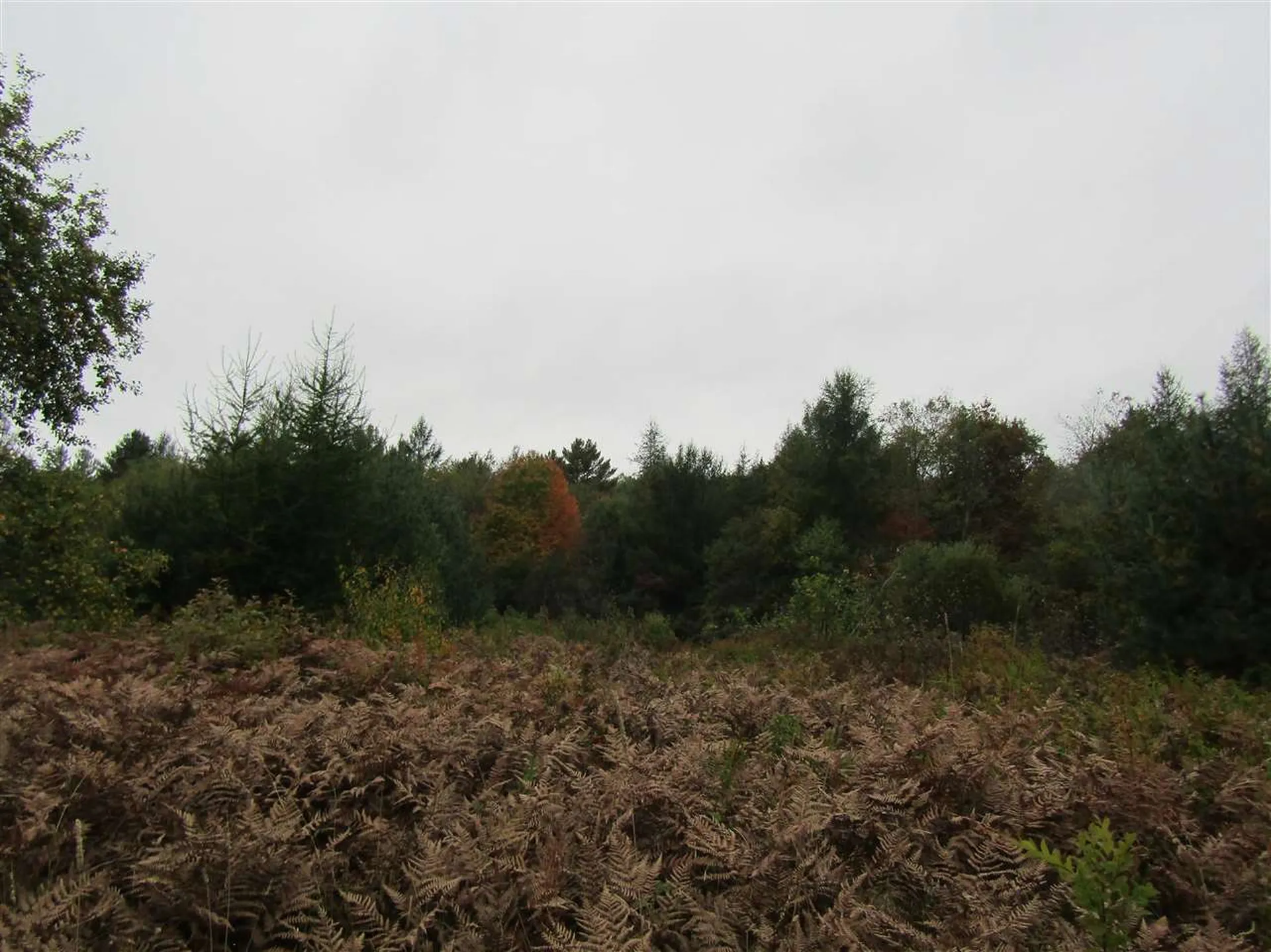 Lot 3 Bog Road Stratford NH 03590