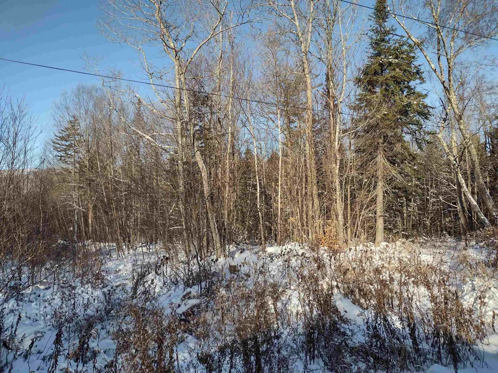 00 Stinson/cross/camp Road Rumney NH 03266