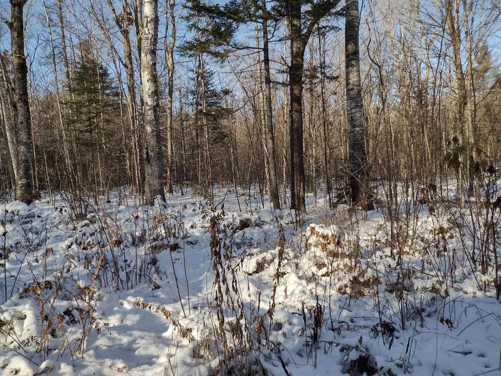 00 Stinson/cross/camp Road Rumney NH 03266