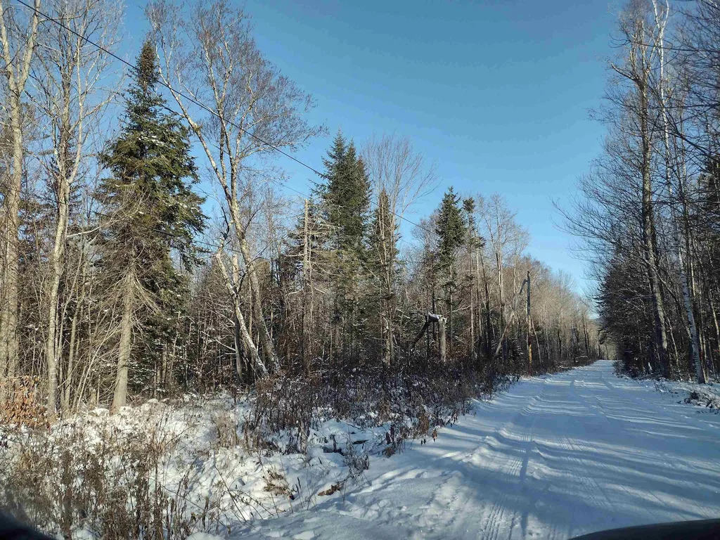 00 Stinson/cross/camp Road Rumney NH 03266