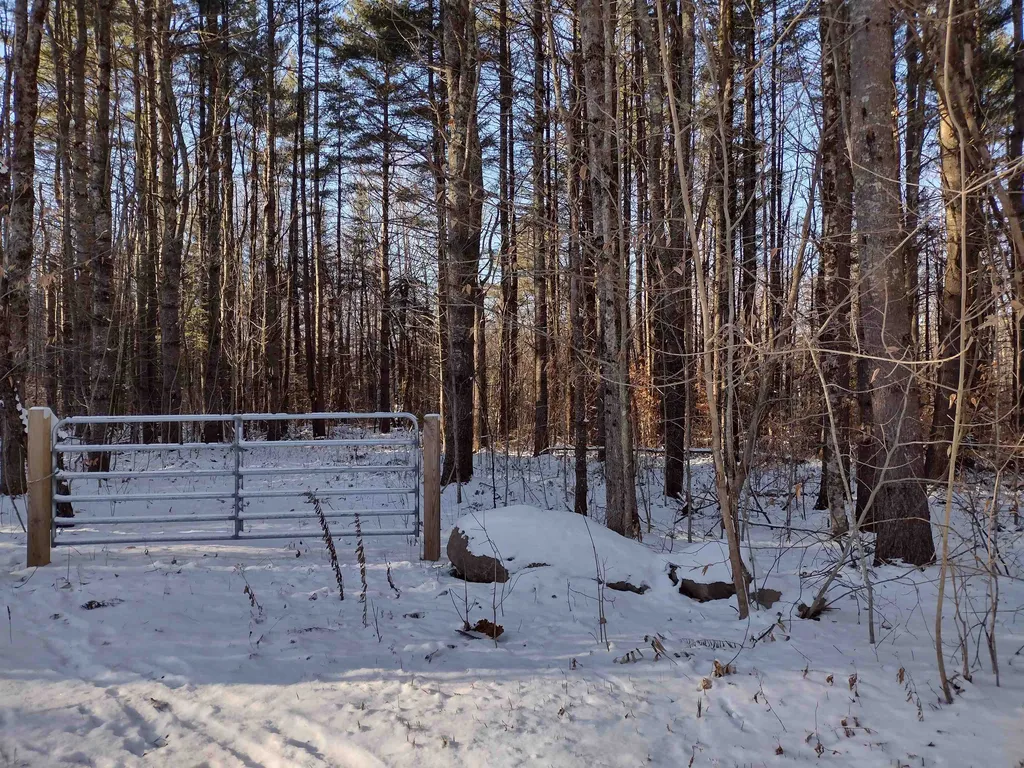 00 Stinson/cross/camp Road Rumney NH 03266