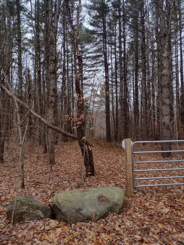 00 Stinson/cross/camp Road Rumney NH 03266
