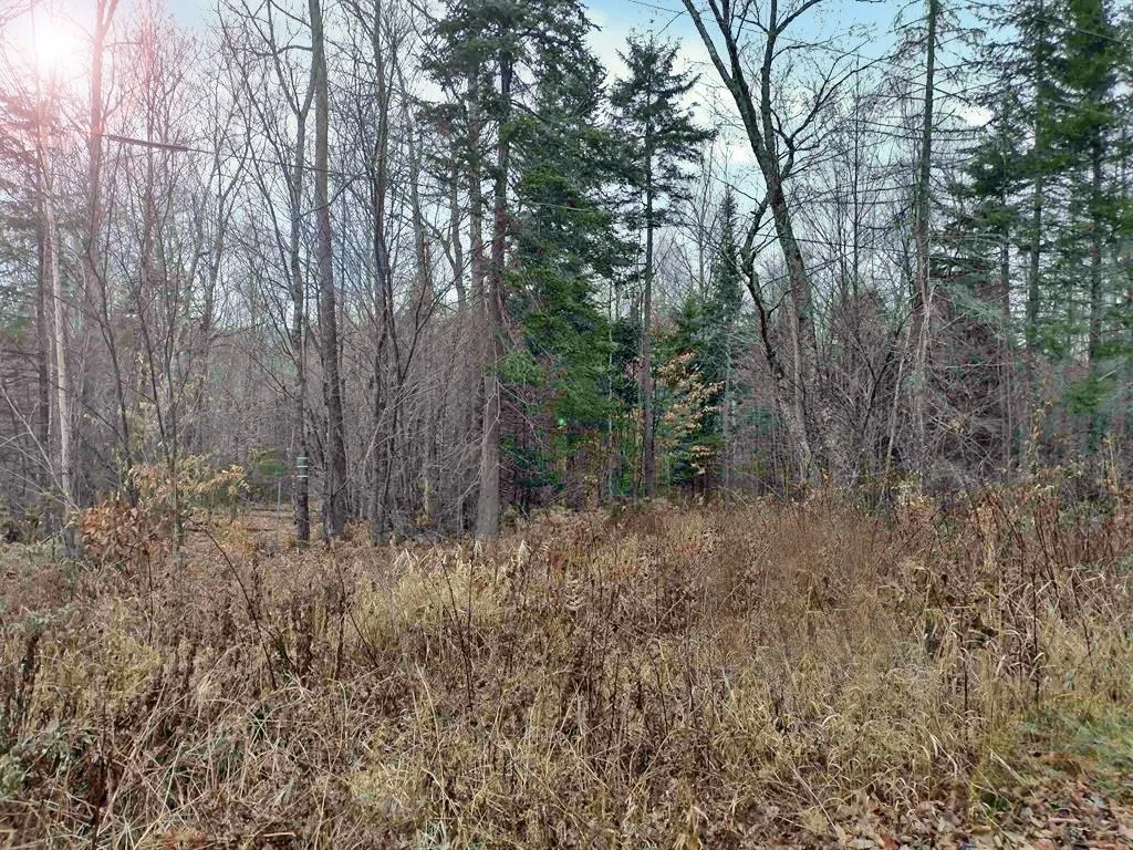 00 Stinson/cross/camp Road Rumney NH 03266