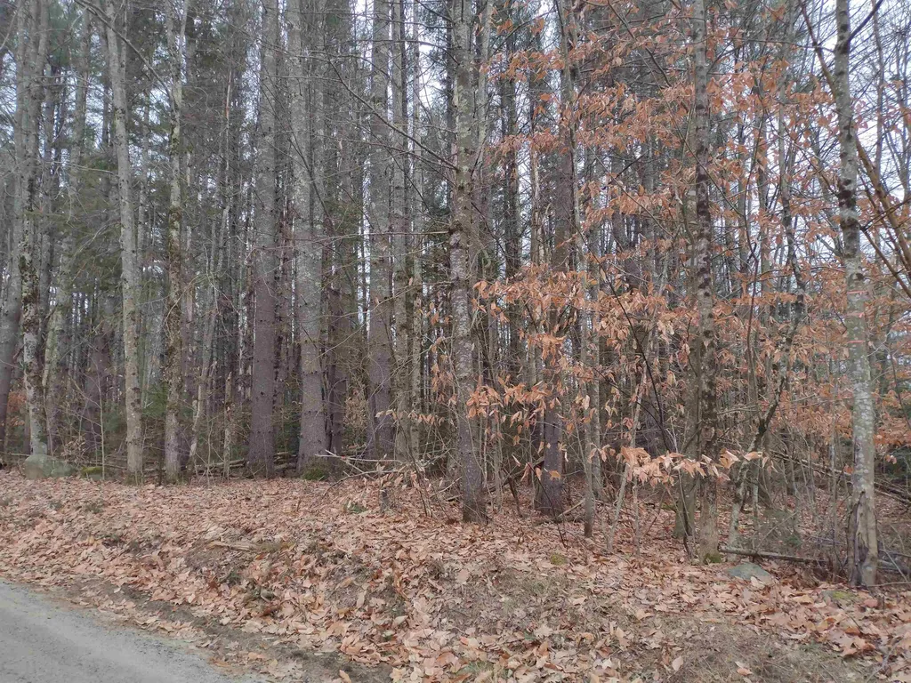 00 Stinson/cross/camp Road Rumney NH 03266
