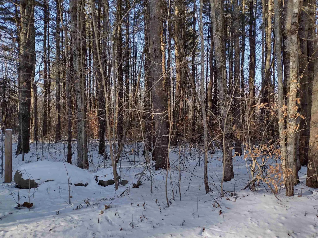 00 Stinson/cross/camp Road Rumney NH 03266