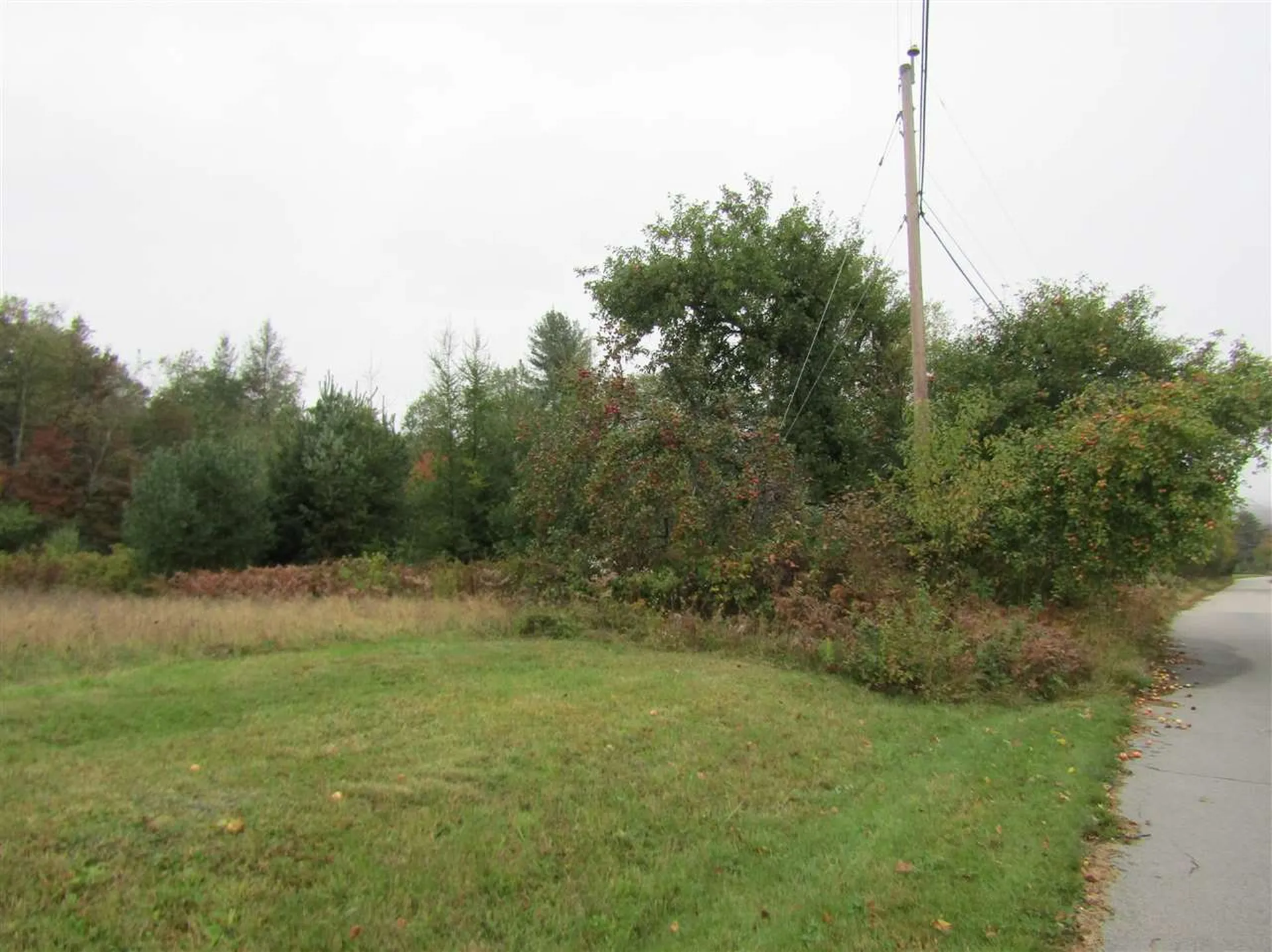 Lot 2 Bog Road Stratford NH 03590