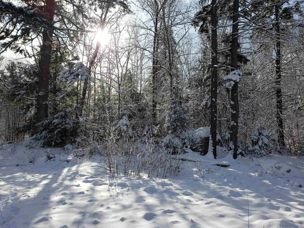 58 Kennedy Brook Drive Stoddard NH 03464