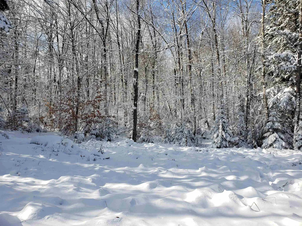 58 Kennedy Brook Drive Stoddard NH 03464