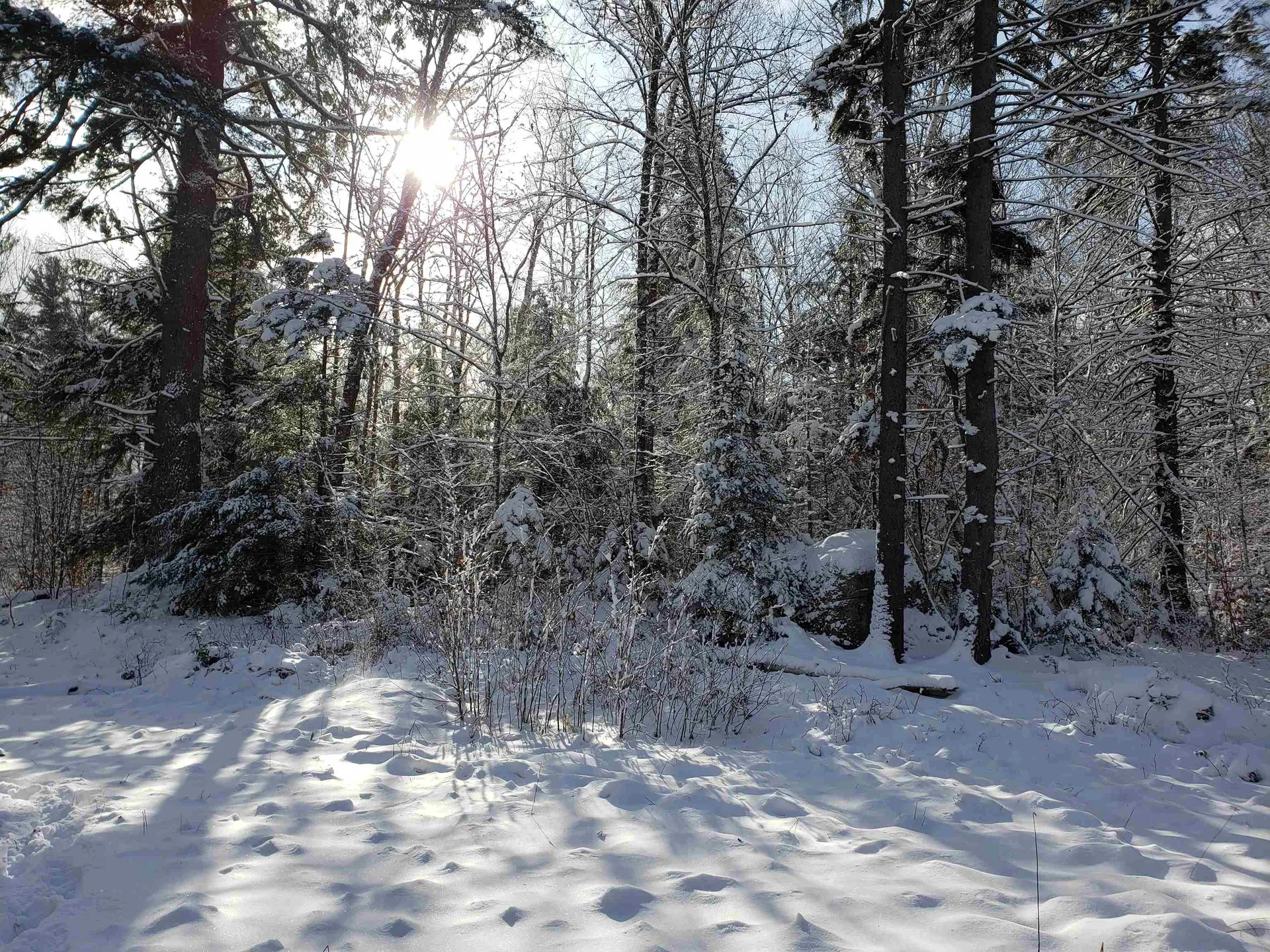 58 Kennedy Brook Drive Stoddard NH 03464