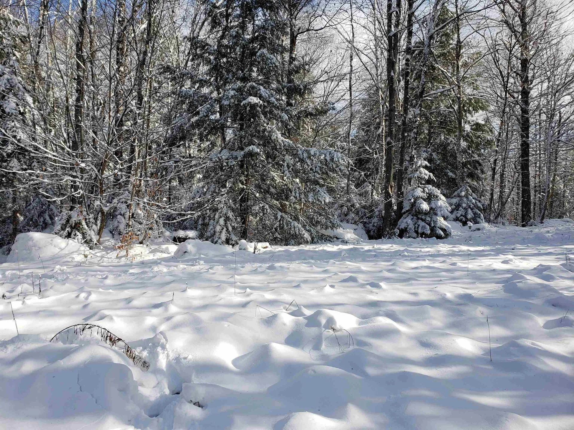 58 Kennedy Brook Drive Stoddard NH 03464