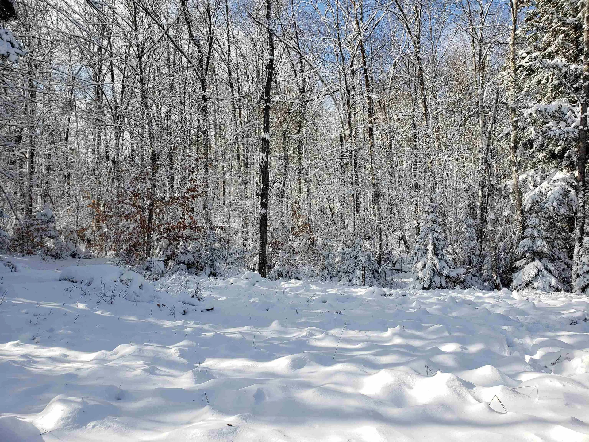 58 Kennedy Brook Drive Stoddard NH 03464