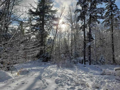 58 Kennedy Brook Drive Stoddard NH 03464