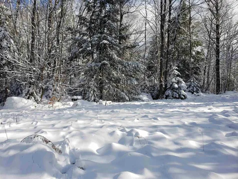 58 Kennedy Brook Drive Stoddard NH 03464
