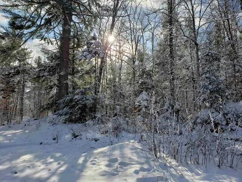 58 Kennedy Brook Drive Stoddard NH 03464
