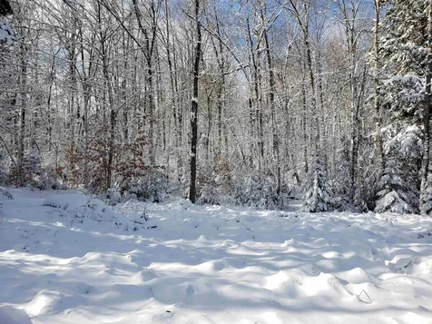 58 Kennedy Brook Drive Stoddard NH 03464