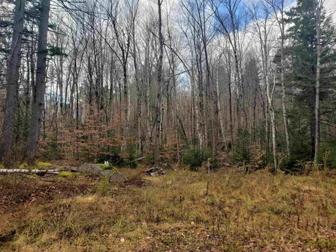 58 Kennedy Brook Drive Stoddard NH 03464