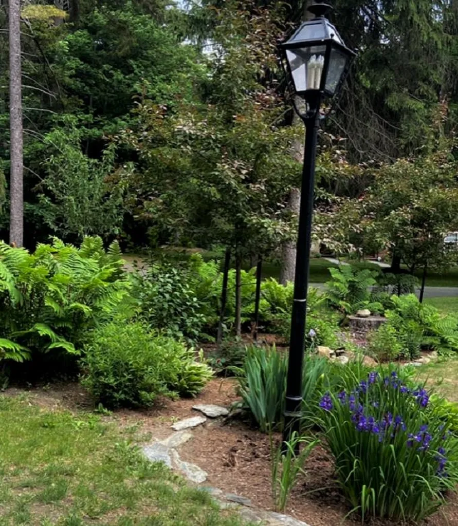 4 Townhouse Way Woodstock VT 05091