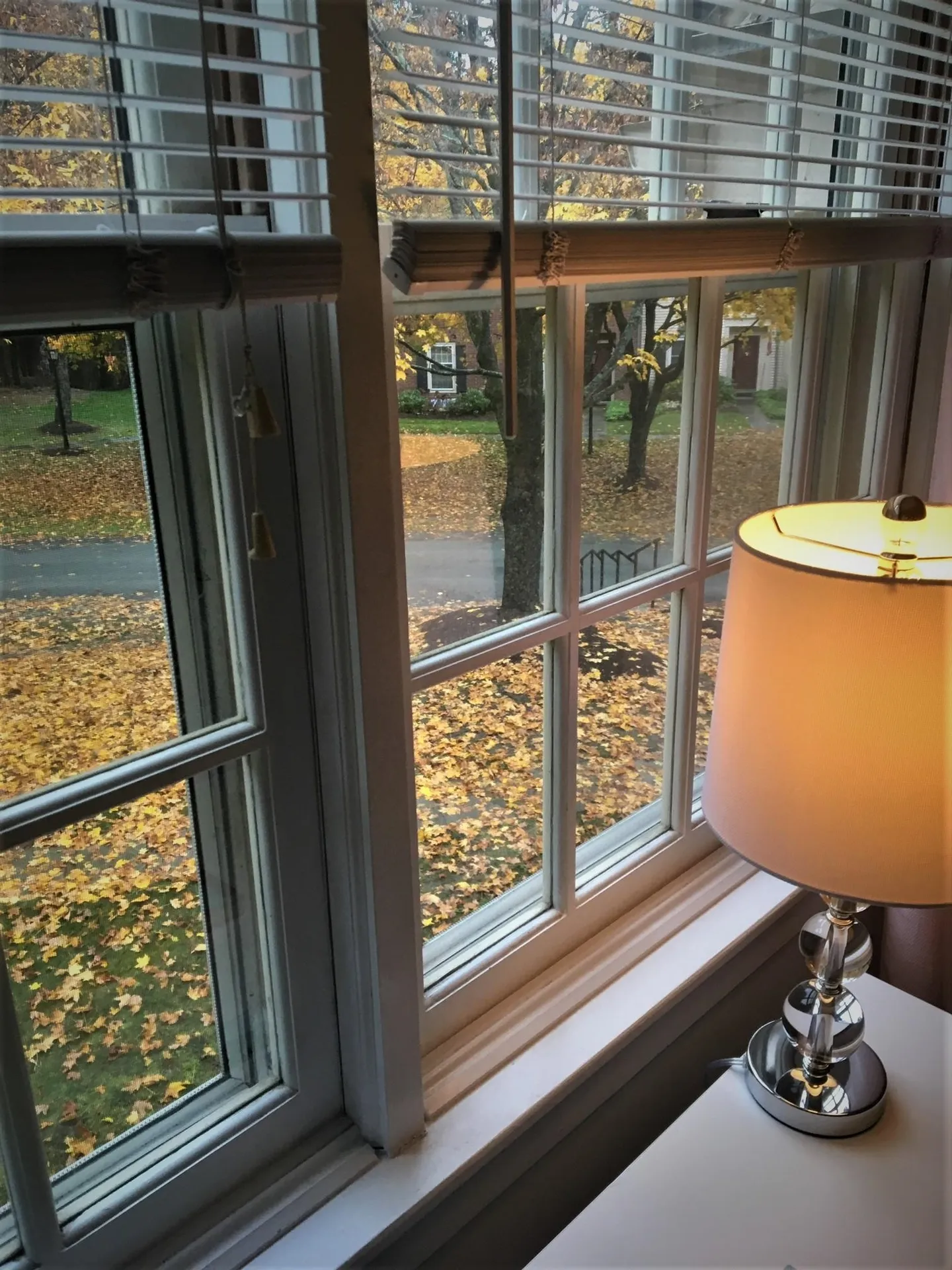 4 Townhouse Way Woodstock VT 05091