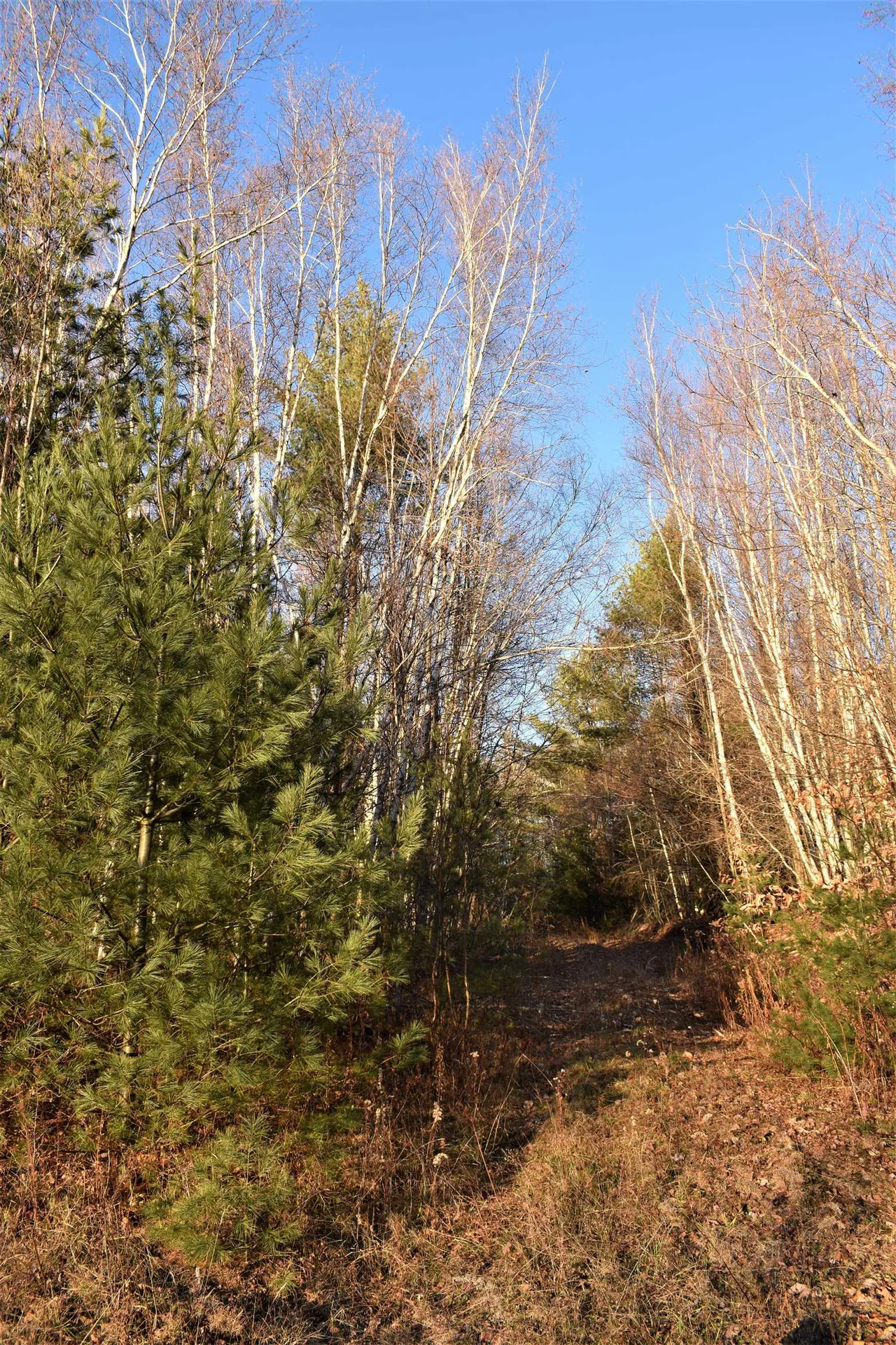 0 North Road Royalton VT 05068