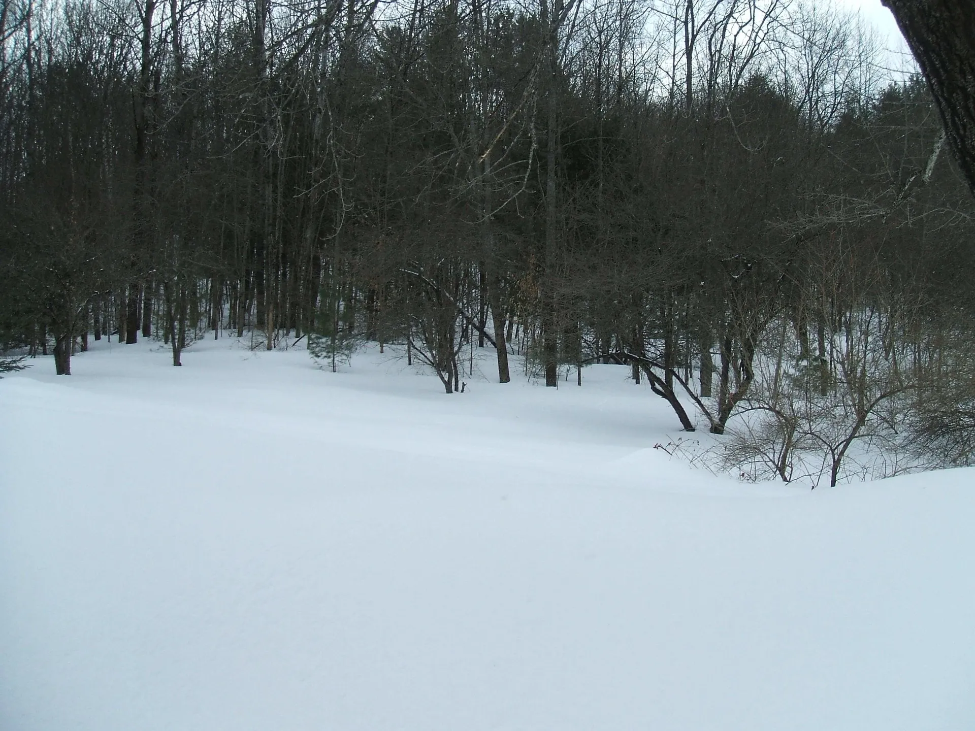 543 Route 12 Hartland VT 05048