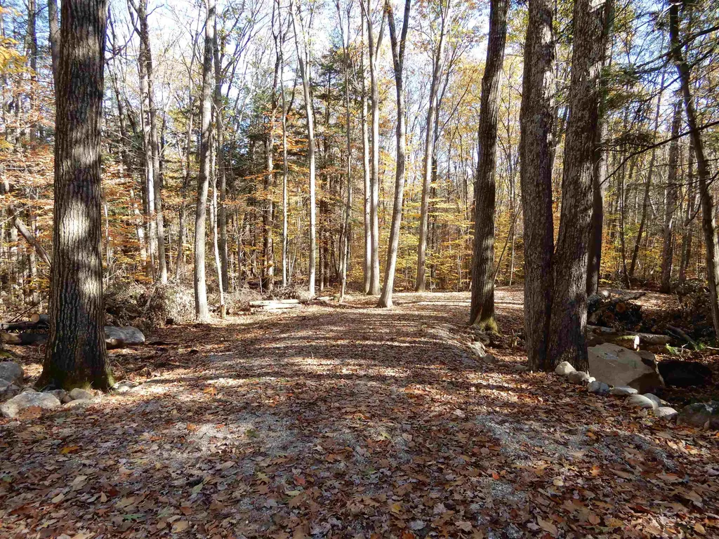 Grafton NH Real Estate MLS 4890301