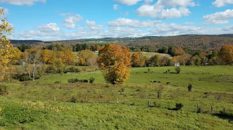 974 Farnsworth Brook Road Braintree VT 05060