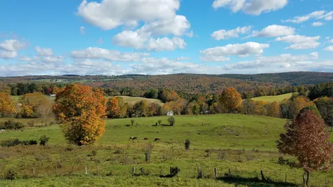 974 Farnsworth Brook Road Braintree VT 05060