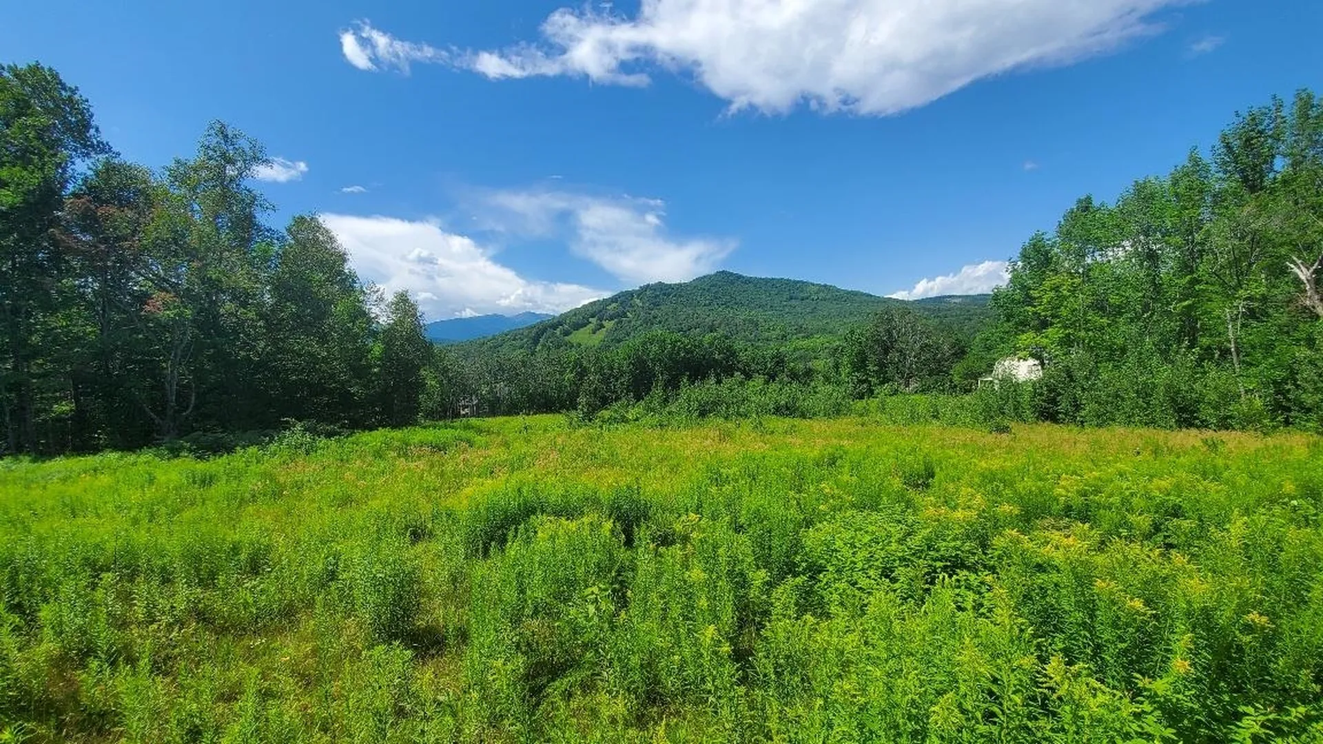 Dundee Road Jackson NH 03846