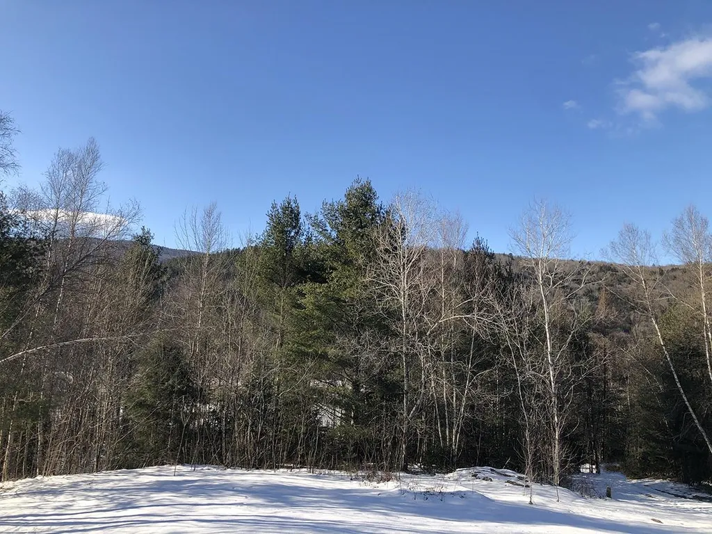 95 Harpers Way Granville VT 05747