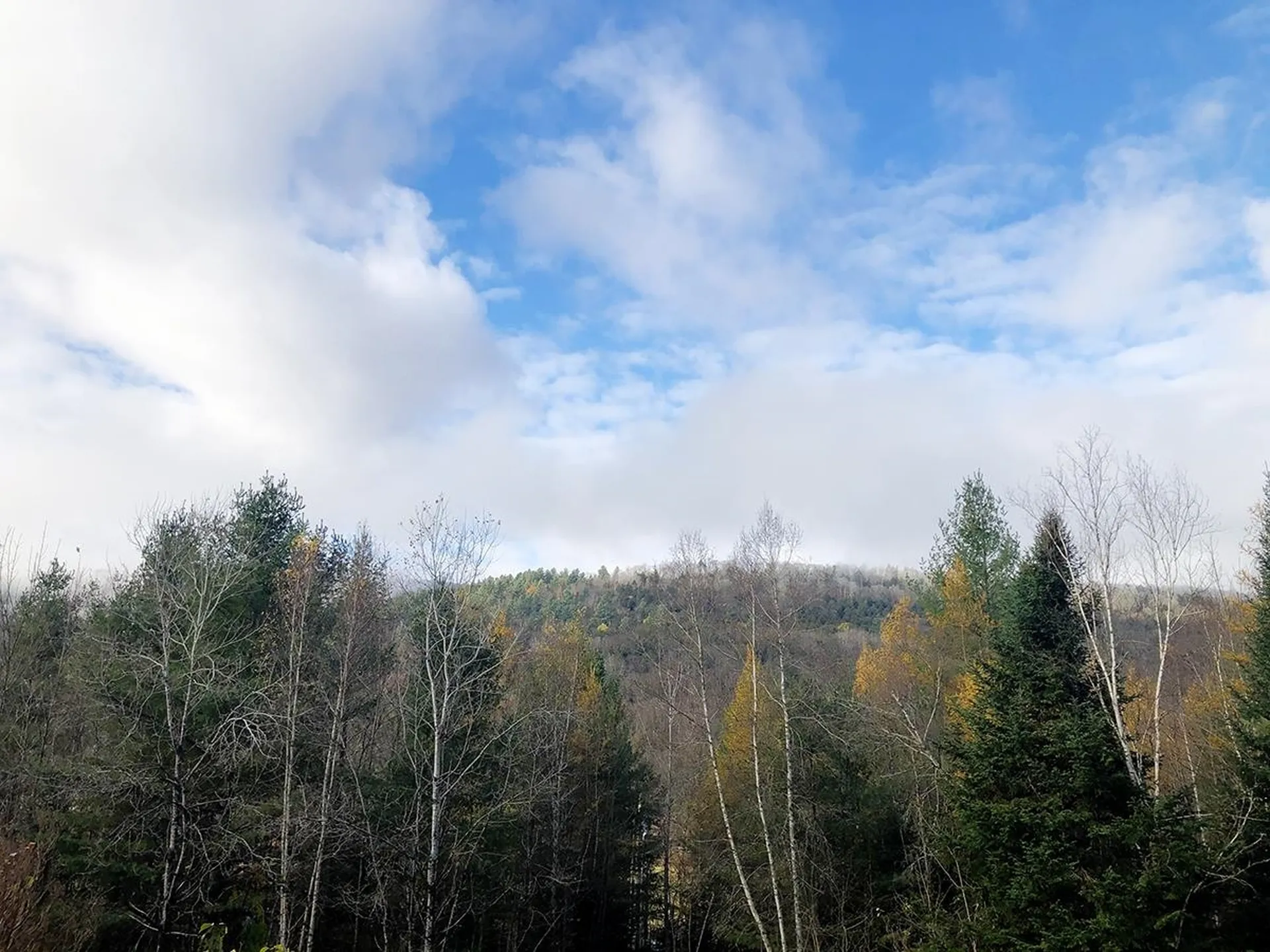 95 Harpers Way Granville VT 05747
