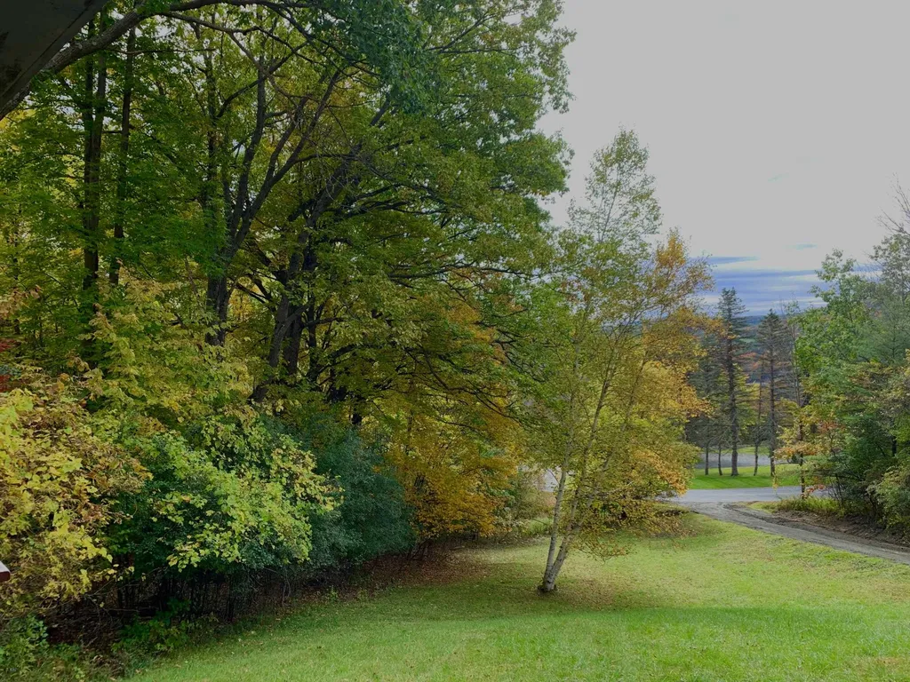 523 Campbell Street Hartford VT 05001