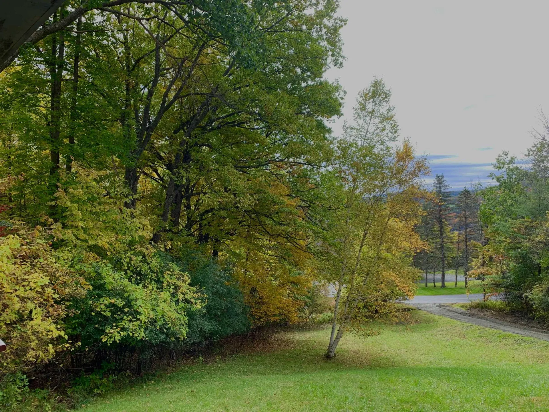 523 Campbell Street Hartford VT 05001