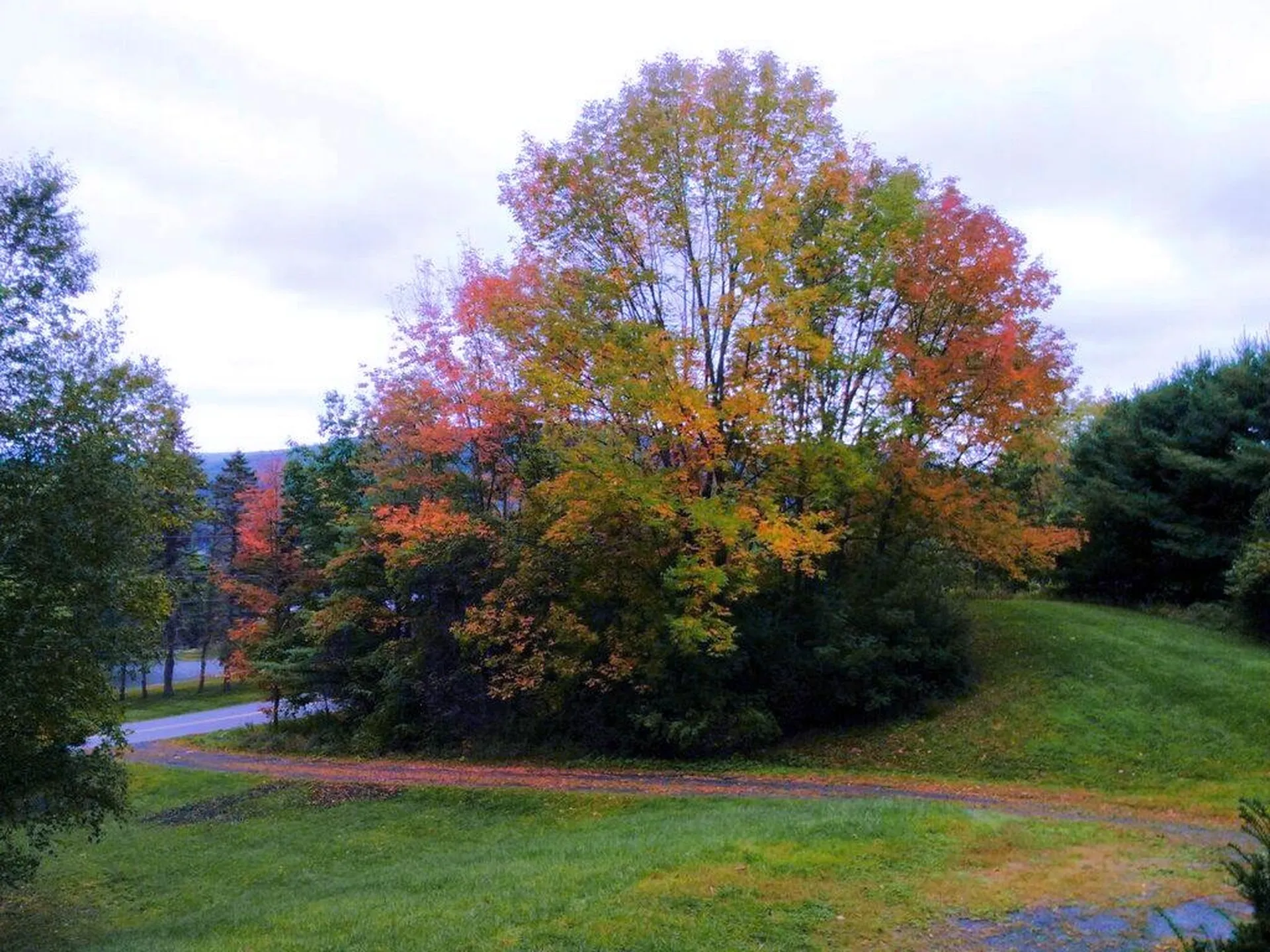 523 Campbell Street Hartford VT 05001