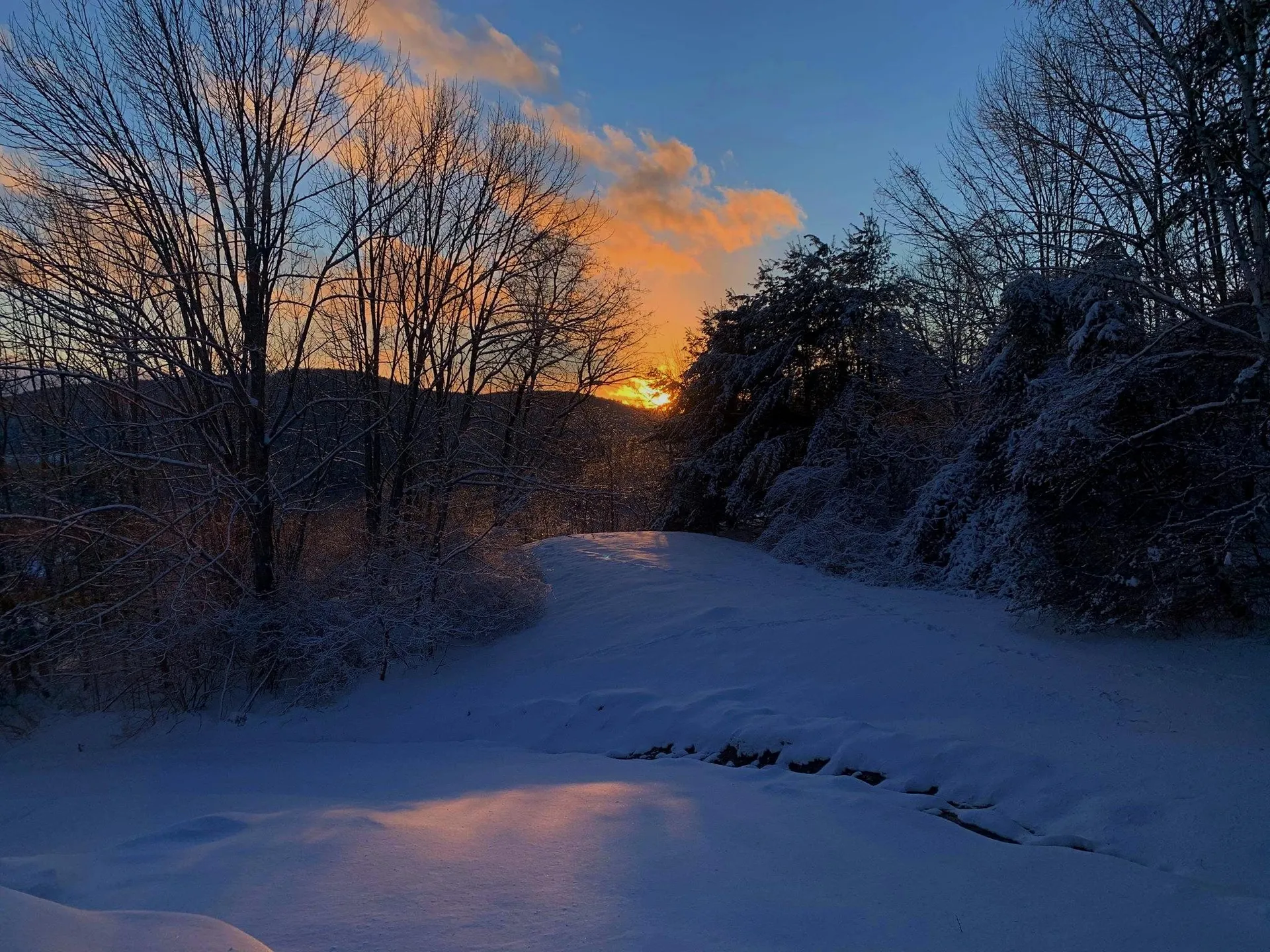 523 Campbell Street Hartford VT 05001