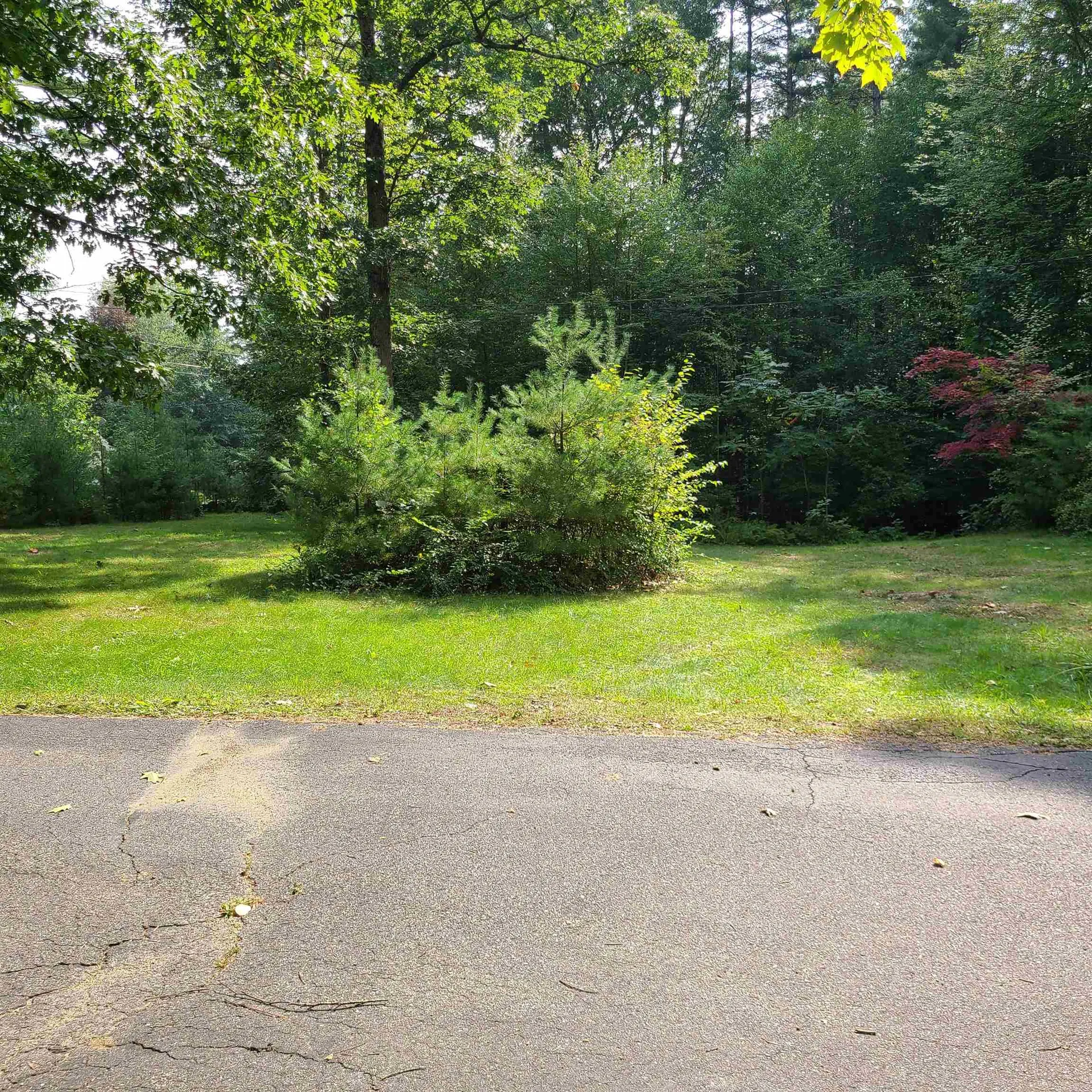 12 Foxwood Avenue Keene NH 03431