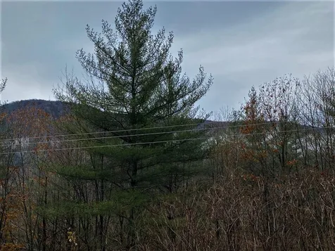 65 Jerusalem Hill Rochester VT 05767