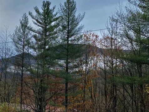 65 Jerusalem Hill Rochester VT 05767