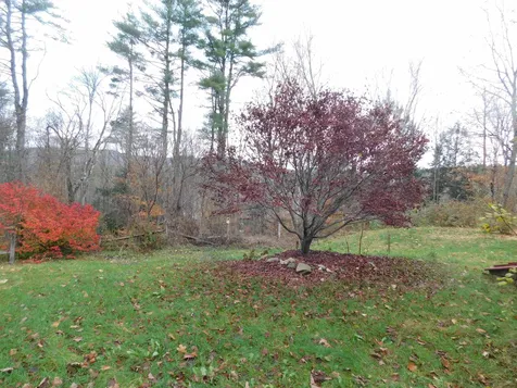 165 Snell Road Chester VT 05143