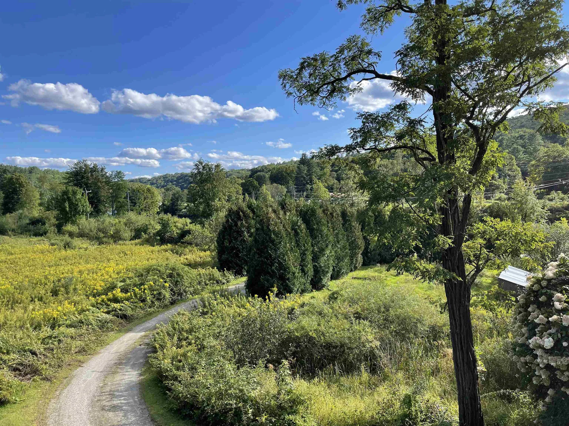1002 Rice Farm Road Dummerston VT 05301