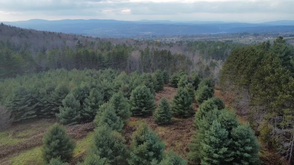 43 Taplin Road Barre Town VT 05641