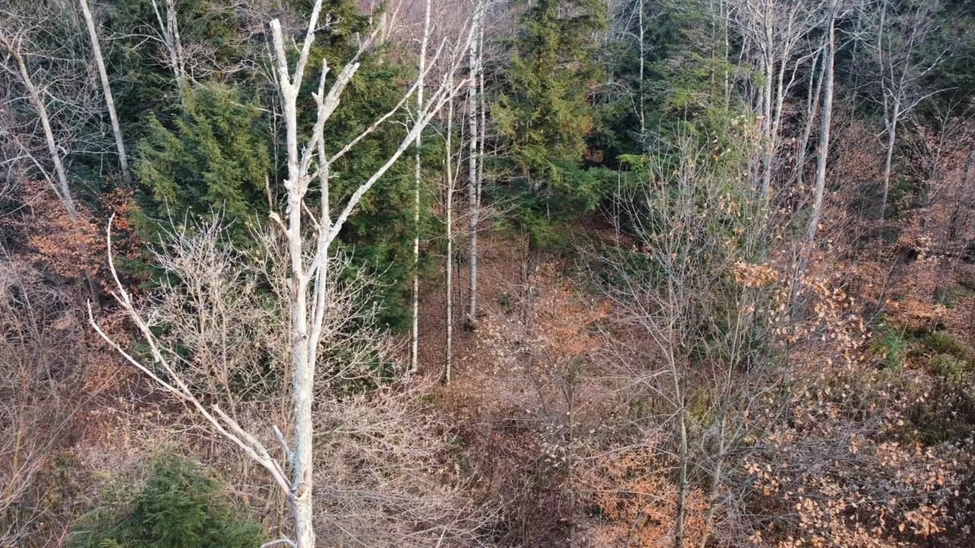 43 Taplin Road Barre Town VT 05641