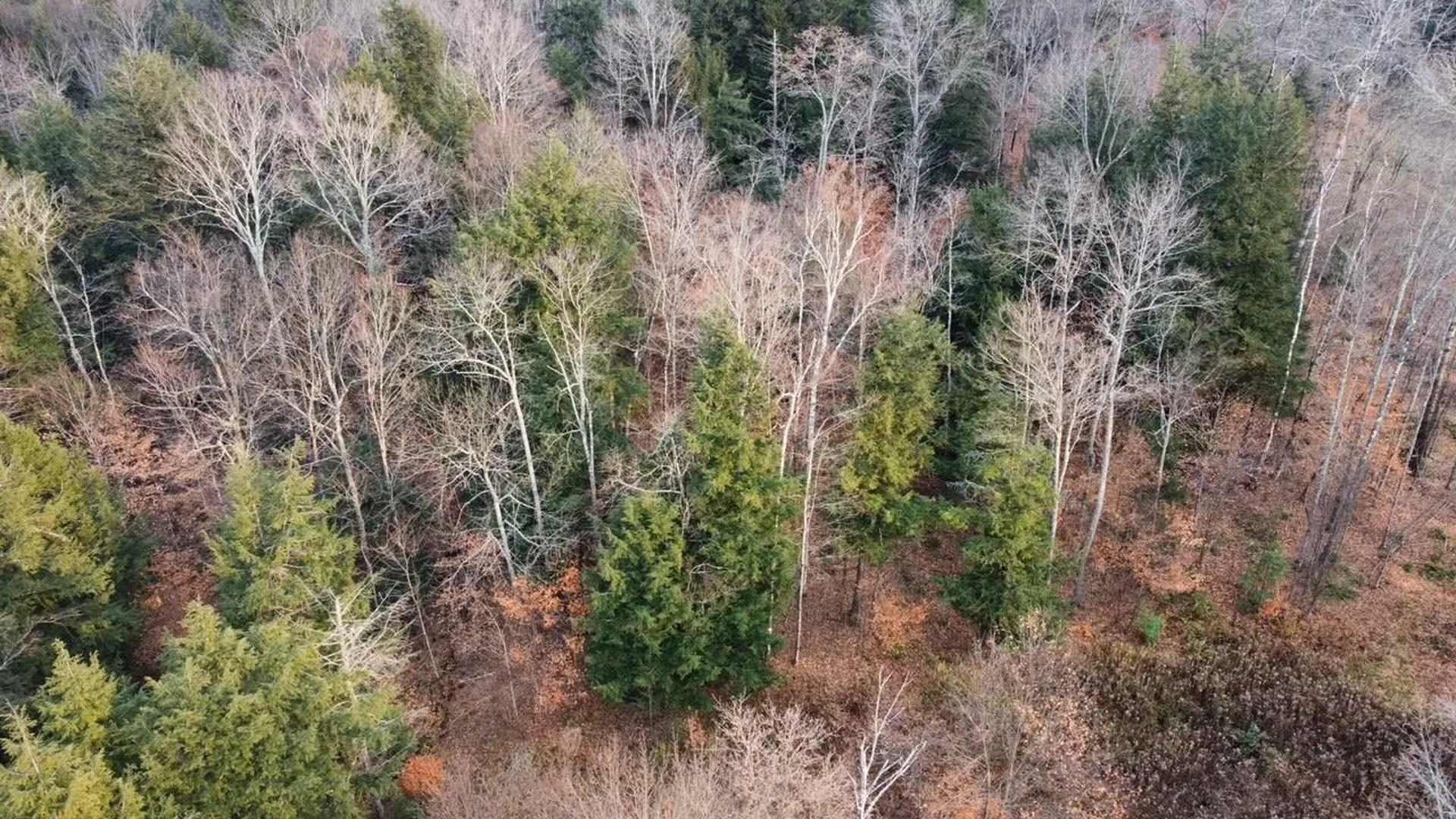 43 Taplin Road Barre Town VT 05641