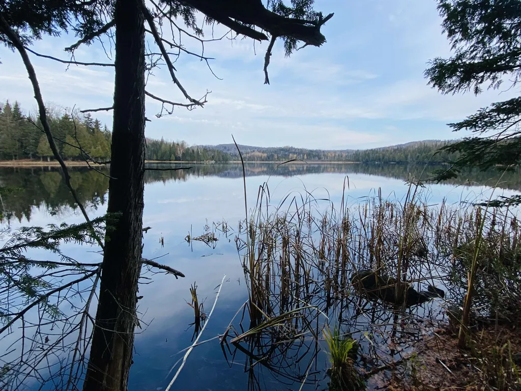 Off Fish Pond Road Columbia NH 03576