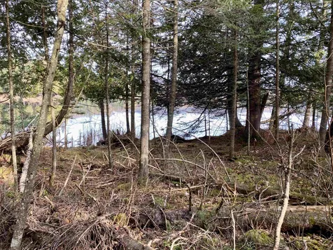 Off Fish Pond Road Columbia NH 03576