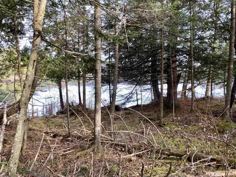 Off Fish Pond Road Columbia NH 03576