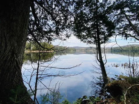 Off Fish Pond Road Columbia NH 03576