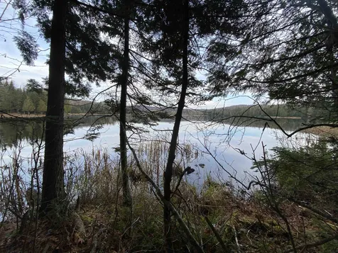 Off Fish Pond Road Columbia NH 03576