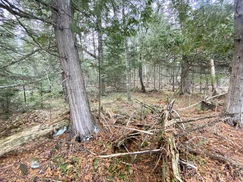 Off Fish Pond Road Columbia NH 03576