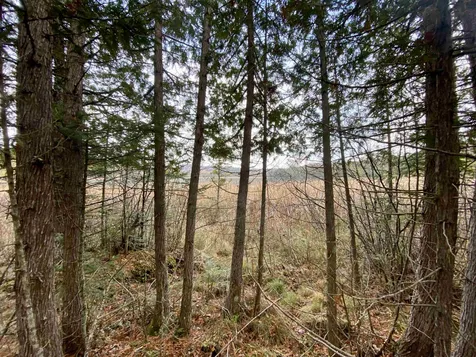 Off Fish Pond Road Columbia NH 03576