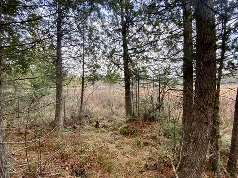 Off Fish Pond Road Columbia NH 03576